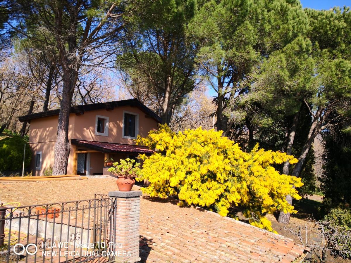 Feudo Algerazzi Villa Zafferana Etnea Kültér fotó